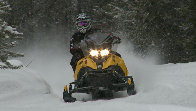 Straightline Performance on Sled Head 24-7