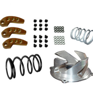 Polaris Switchback 0-3000ft Clutch Kit (pro chassis) With adjustable weights