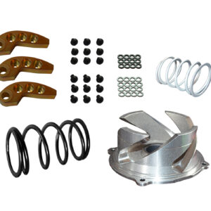 Polaris 850 Patriot 129-137" Track  Complete Trail Performance Kit 0-3000ft (Straightline and stock exhaust)