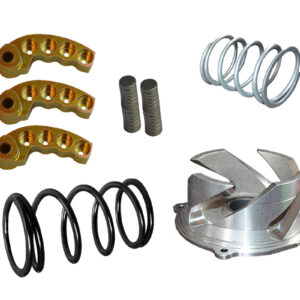 C-TEC 2 Arctic Cat Series 8000 Clutch Kit with adjustable weights.  0-3000ft   (with Team Clutches)